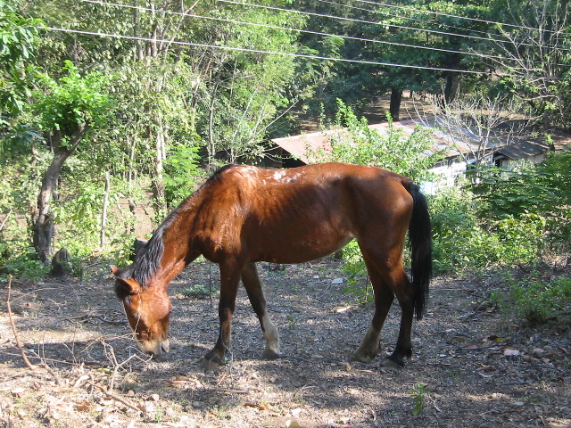 IMG_1272.JPG