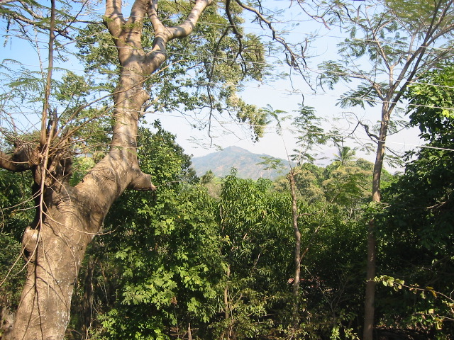 IMG_1275.JPG