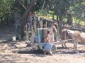 IMG_1266.JPG