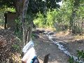 IMG_1269.JPG