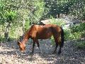 IMG_1272.JPG