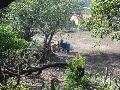 IMG_1274.JPG