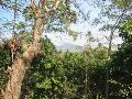 IMG_1275.JPG