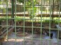 IMG_1305.JPG