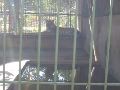 IMG_1312.JPG