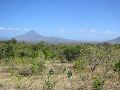 IMG_1262.JPG